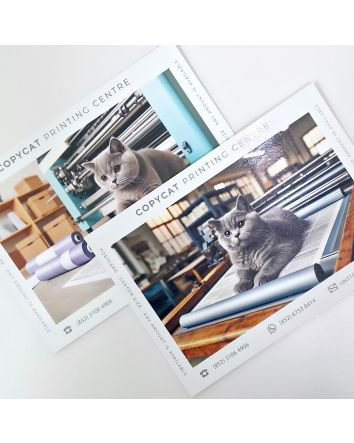 Postcard - 啞膠/光膠